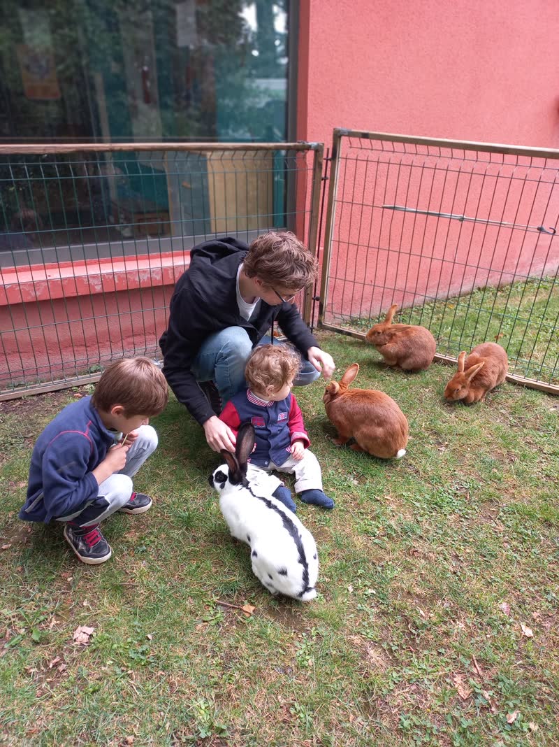 Des enfants caressent des lapins sur l'herbe avec un adulte, lors de la ferme pédagogique